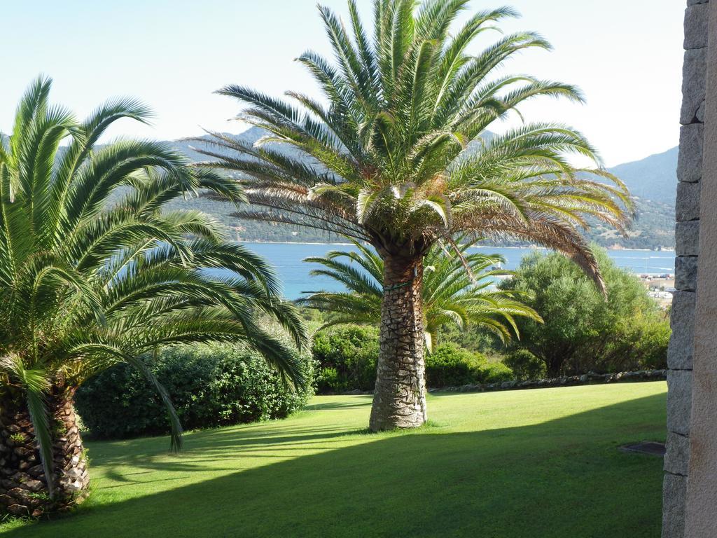 Marina Di Fiori Appartement